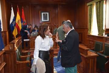 Imágenes del Pleno ordinario de diciembre del Ayuntamiento de Telde (Foto Francisco Javier Santana)